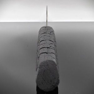 x26 Cu-mai Raptor Evolution limited