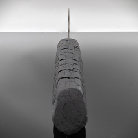 3. Wahl x26 Cu-mai Raptor Evolution limited