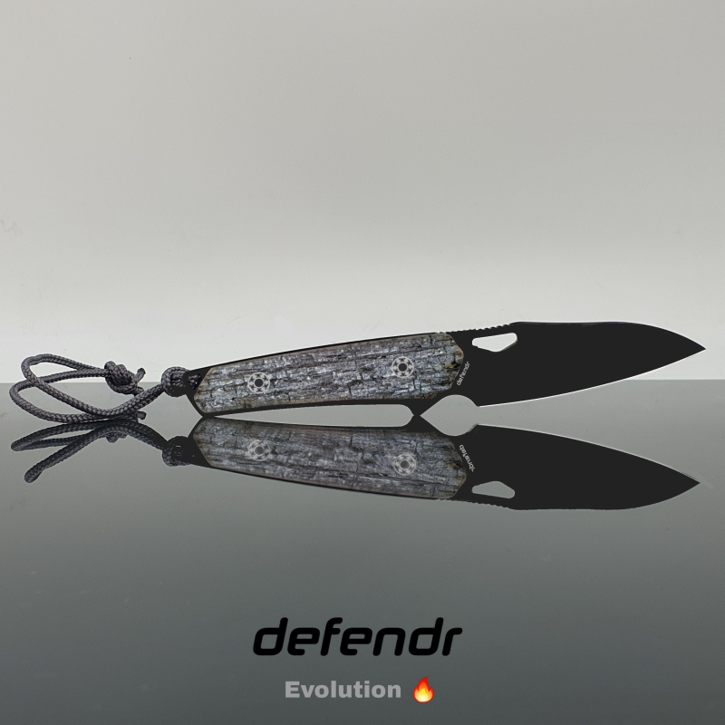 2. Wahl defendr Evolution