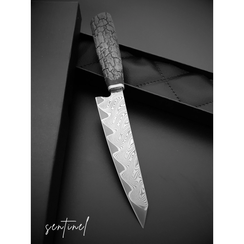 2. Wahl Sentinel Evolution