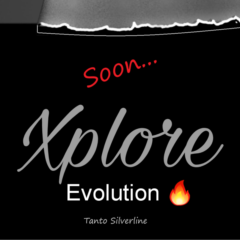 San-mai xplore Silverline Tanto box